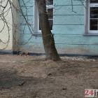 zdjęcie nr 9