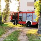 Fotka nr 4 z 12