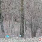 zdjęcie nr 8