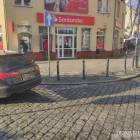 Fotka nr 2 z 8