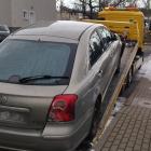 fot. Straż Miejska Jelenia Góra