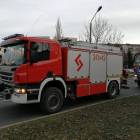 Fotka nr 5 z 8