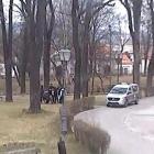 fot. Straż Miejska Jelenia Góra