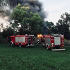 Fotka nr 2 z 11
