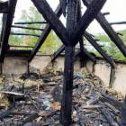 Fotka nr 4 z 6