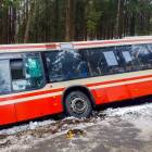 Fotka nr 3 z 12