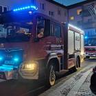 Fotka nr 4 z 12