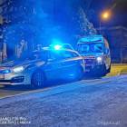 Fotka nr 5 z 12