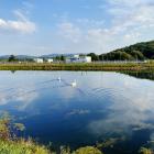Fotka nr 2 z 3