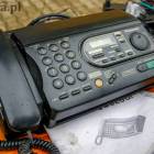 Fotka nr 4 z 21
