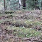 fot. Karkonosze GO
