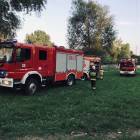 Fotka nr 5 z 11