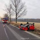 Fotka nr 1 z 3