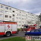 Fotka nr 4 z 5