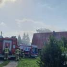 Fotka nr 5 z 12