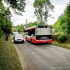 zdjęcie nr 7