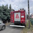 Fotka nr 2 z 13