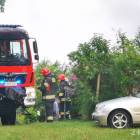 Fotka nr 1 z 12