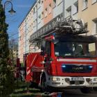 Fotka nr 3 z 10