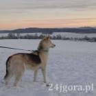 zdjęcie nr 69