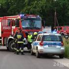 Fotka nr 4 z 7