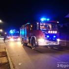 Fotka nr 1 z 12