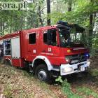 Fotka nr 4 z 8
