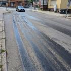 fot. Straż Miejska Jelenia Góra