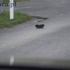 Fotka nr 4 z 7