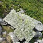 fot. Karkonosze GO