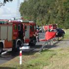 Fotka nr 4 z 12