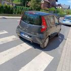 fot. Straż Miejska Jelenia Góra