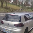 fot. Straż Miejska Jelenia Góra