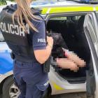 fot. Policja Jelenia Góra