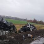 Fotka nr 1 z 15