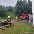 Fotka nr 3 z 14
