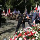 zdjęcie nr 35