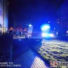 Fotka nr 1 z 11