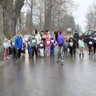 zdjęcie nr 43
