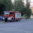Fotka nr 5 z 8