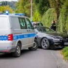 Fotka nr 2 z 21