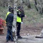 fot. Straż Miejska Jelenia Góra