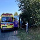 Fotka nr 4 z 13