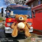 Fotka nr 3 z 12