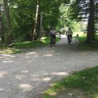 fot. Straż Miejska Jelenia Góra