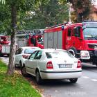 Fotka nr 5 z 6