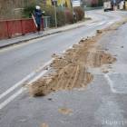 zdjęcie nr 11