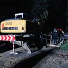 Fotka nr 5 z 7