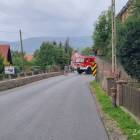 Fotka nr 4 z 5