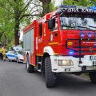 Fotka nr 4 z 5